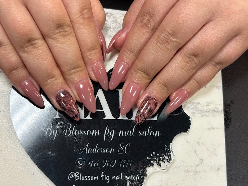 Blossom Fig Nail Salon, nail salon in Anderson, SC, photo 3 of 10